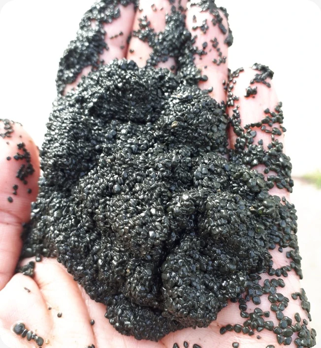 Biomass & Micronutrients detail